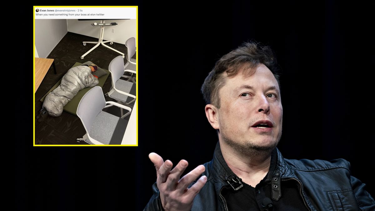 Menadżerka przejętego przez Muska Twittera musiała spać w pracy 