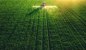 ARiMR. Nowy termin składania oświadczeń w związku z epidemią koronawirusa