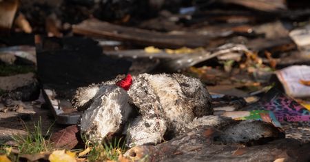 Tragiczny pożar w Poznaniu. "Karince płomienie odcięły drogę"