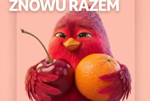 Screen Instagram Auchan Polska