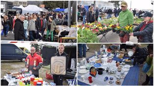 Włocławek: Tłumy na Pchlim Targu. Starocie i sadzonki