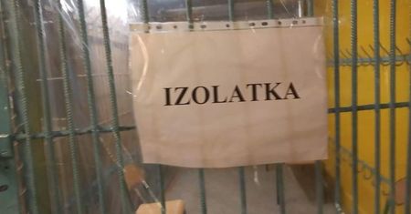 Tak wyglądają izolatki w szkołach podstawowych? Rzecznik Praw Obywatelskich i Dziecka zabrali głos