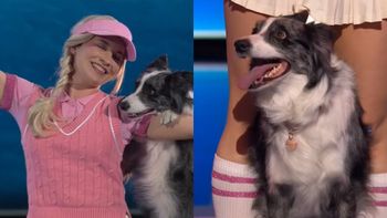 Widzowie "Mam Talent!" domagają się ZMIAN. Oburzenie po półfinale show, poszło o psa