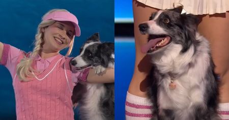 Widzowie "Mam Talent!" domagają się ZMIAN. Oburzenie po półfinale show, poszło o psa
