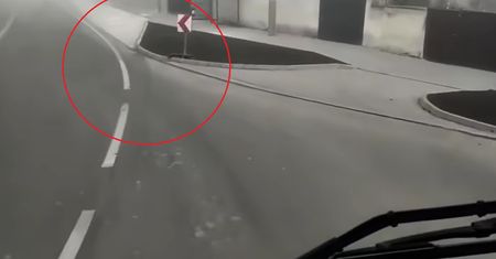 Niespodzianka na zakręcie. Nagranie hitem sieci