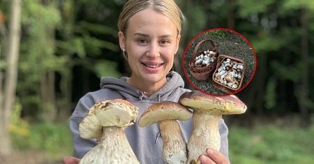 Nie posłuchała innego grzybiarza. "Dwa pełne kosze" borowików