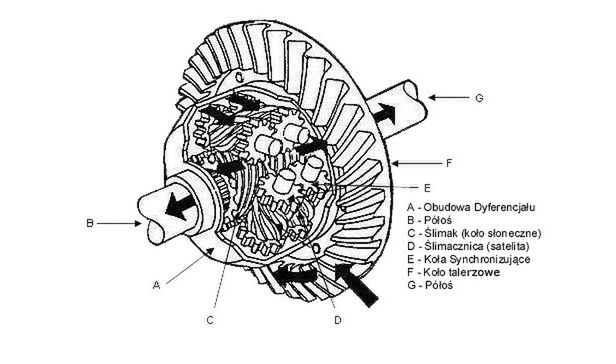 Budowa mechanizmu różnicowego typu Torsen