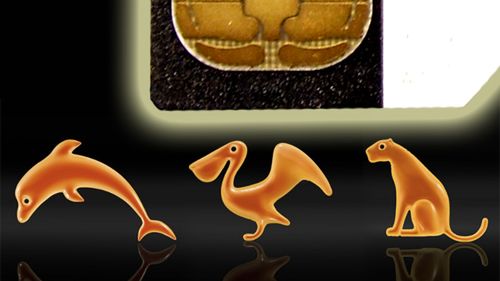 Orange - Tylko Sim z darmowymi rozmowami 1