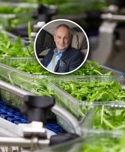 Król sałaty z Polski. Początki były dramatyczne