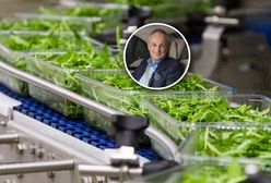 Król sałaty z Polski. Początki były dramatyczne