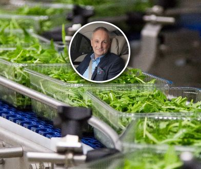 Król sałaty z Polski. Początki były dramatyczne