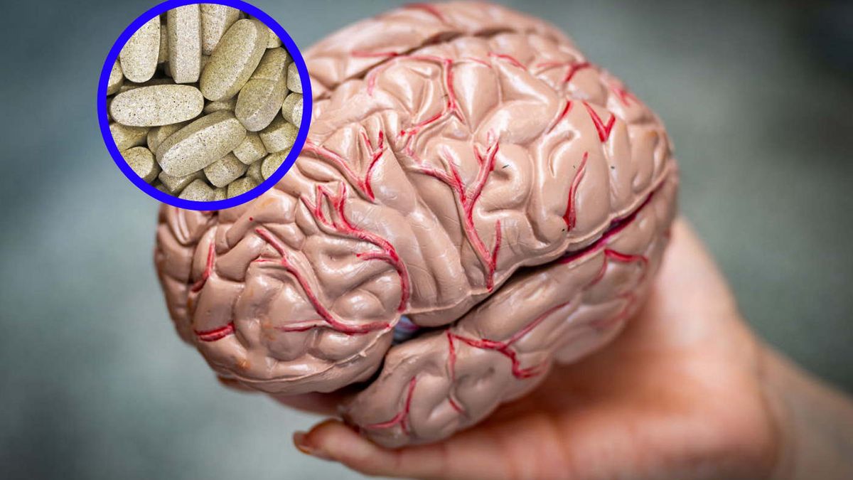 Najlepsze probiotyki dla mózgu