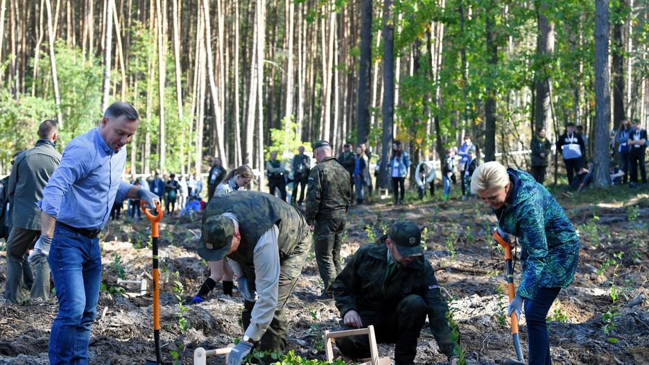 Prezydent z żoną sadził las. W sieci rozpętała się burza 