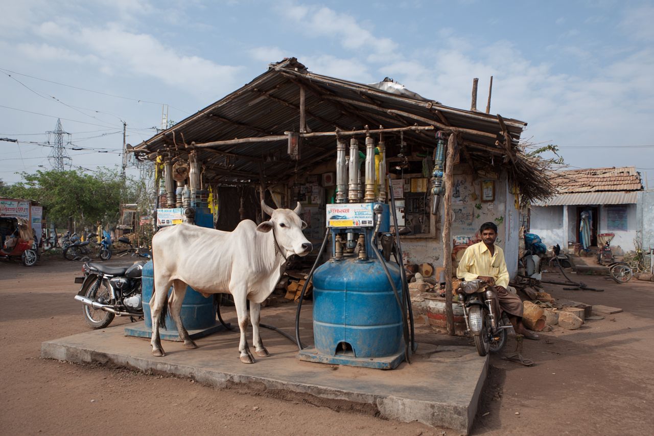 Biopaliwa w Indiach: miliardowe oszczędności kontra ryzyko kryzysu żywnościowego