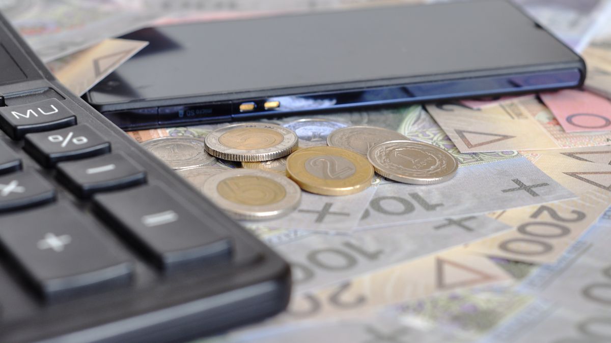 waluta, monety, ryzyko, strata, zysk, dochody, przychód, przychody, inwestycja, inwestycje, kalkulator, kalkulacja, rachunki, komórka, telefon, nbp