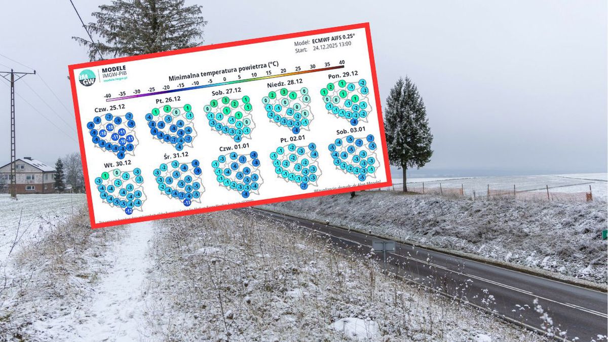 Prognoza temperatury dla Polski