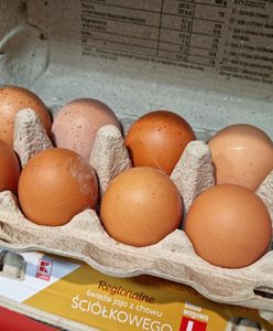 Tanie jajka – tu kupisz najkorzystniej. Aktualne ceny w sklepach