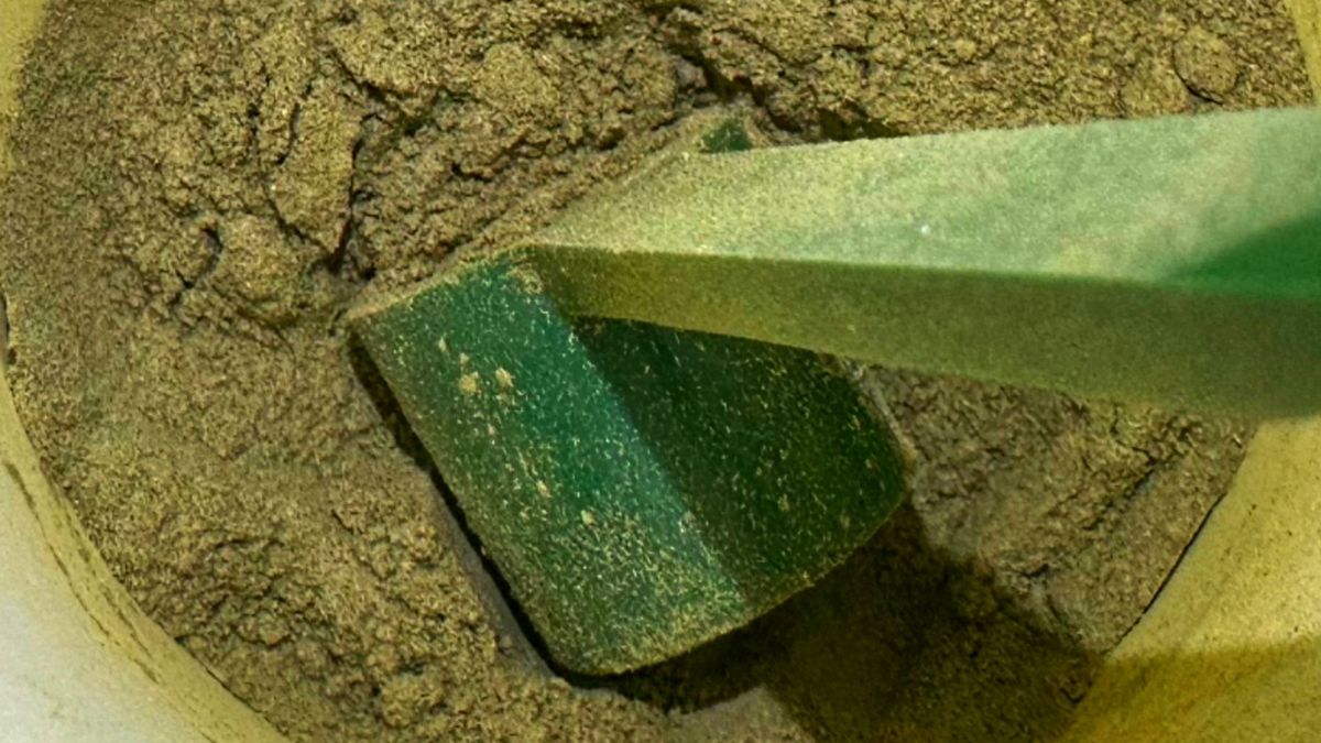 Młody jęczmień to znakomite źródło chlorofilu.