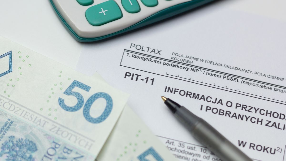 Rozliczenie PIT za 2024 rok. Wkrótce ruszy wysyłanie PIT-11