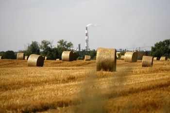 Oto maksymalny poziom zaliczek dopłat. Sprawdź, czy dostaniesz przelew pierwszy
