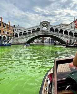 Wenecja pozieleniała. Tajemnicza plama w Canal Grande