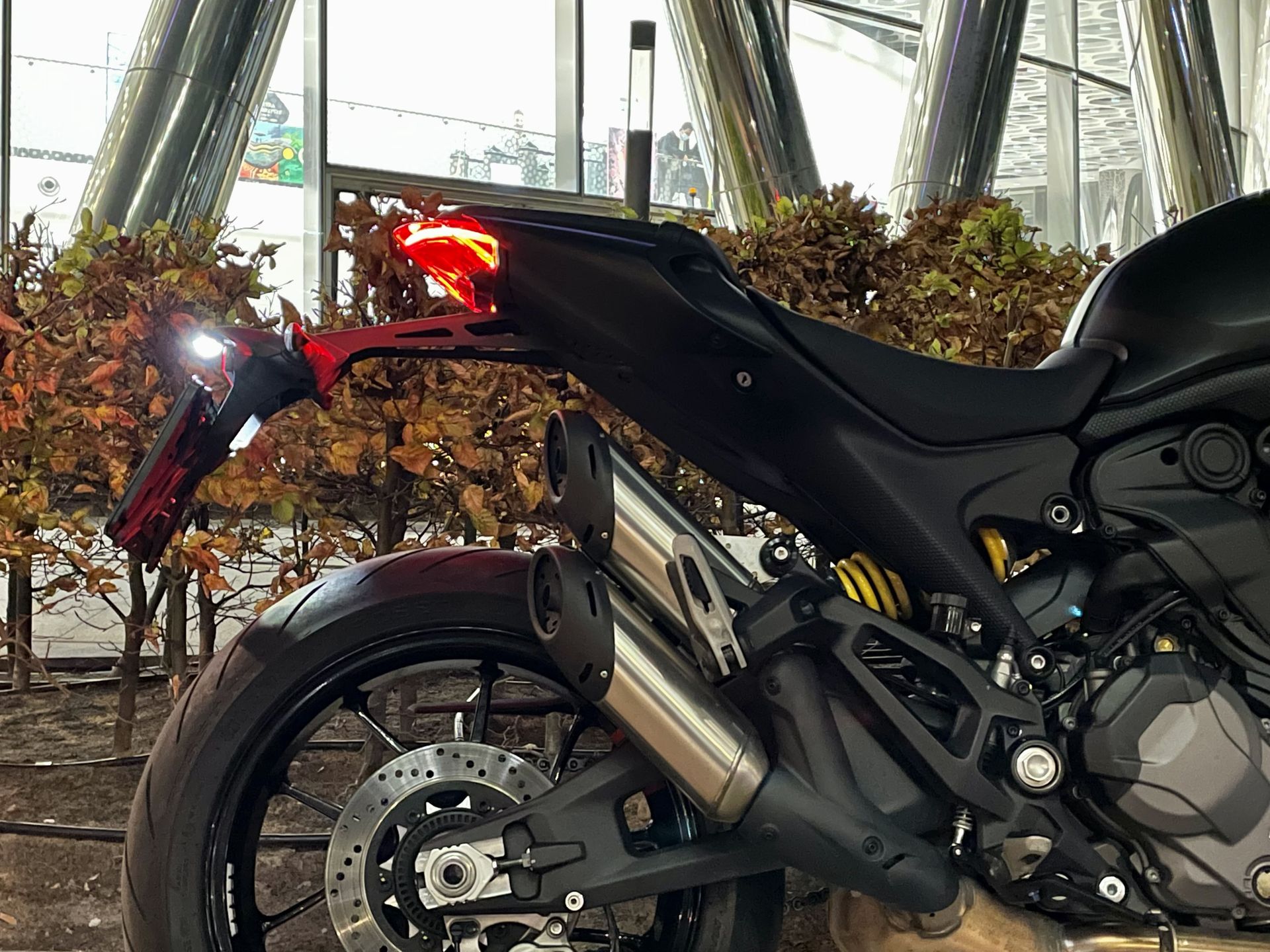 Ducati Monster