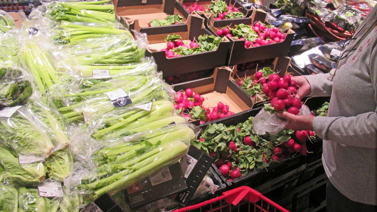 Dlaczego jeszcze nie ma polskich nowalijek?