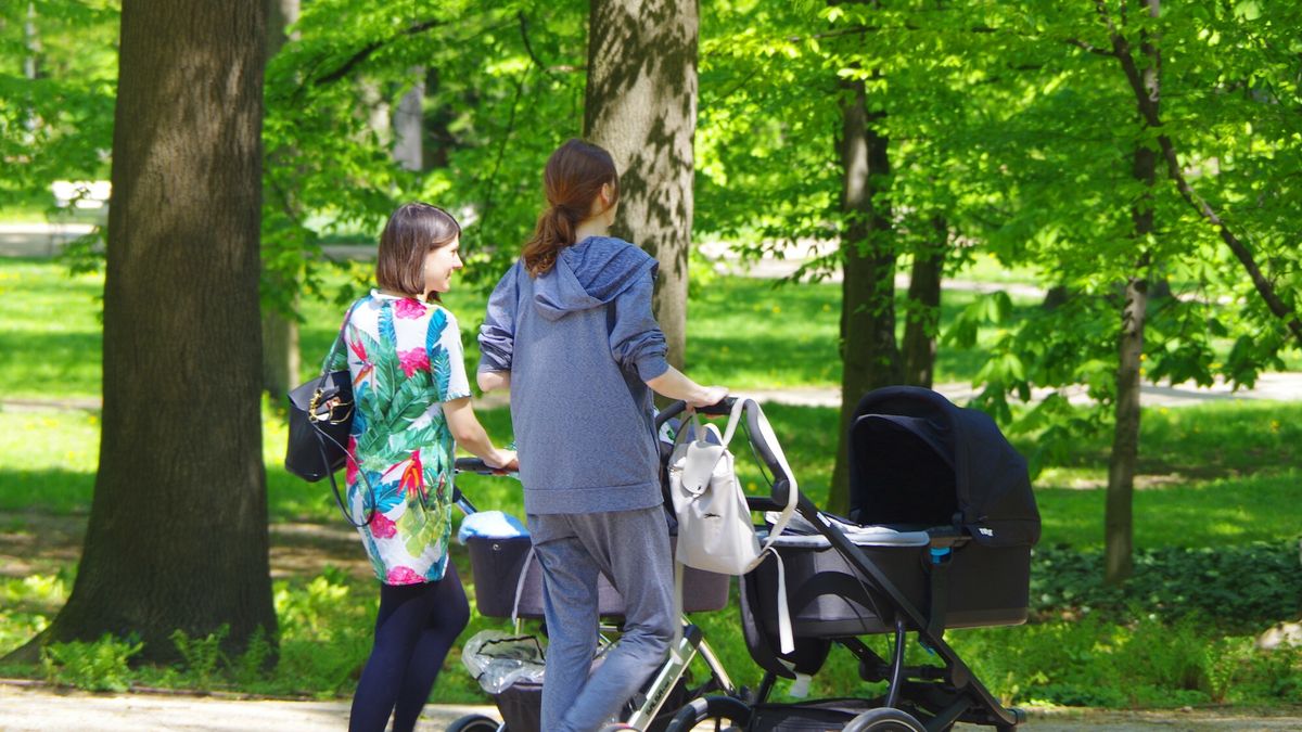 ?azienki Królewskie Marek Bazak
PHOTO: ZOFIA I MAREK BAZAK / EAST NEWS   Warszawa, zepol palacowo - parkowy Lazienki Krolewskie N/z wiosenny spacer po parku - mlode mamy z dziecmi w wozkach
ZOFIA BAZAK