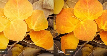 Grudniowa aktualizacja Adobe. Lightroom CC ze sztuczną inteligencją i nowymi funkcjami