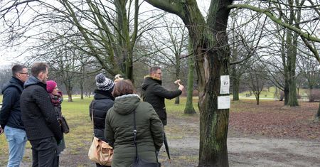 Warszawa. Karta Praw Drzew. Będzie obowiązek informowania o wycince