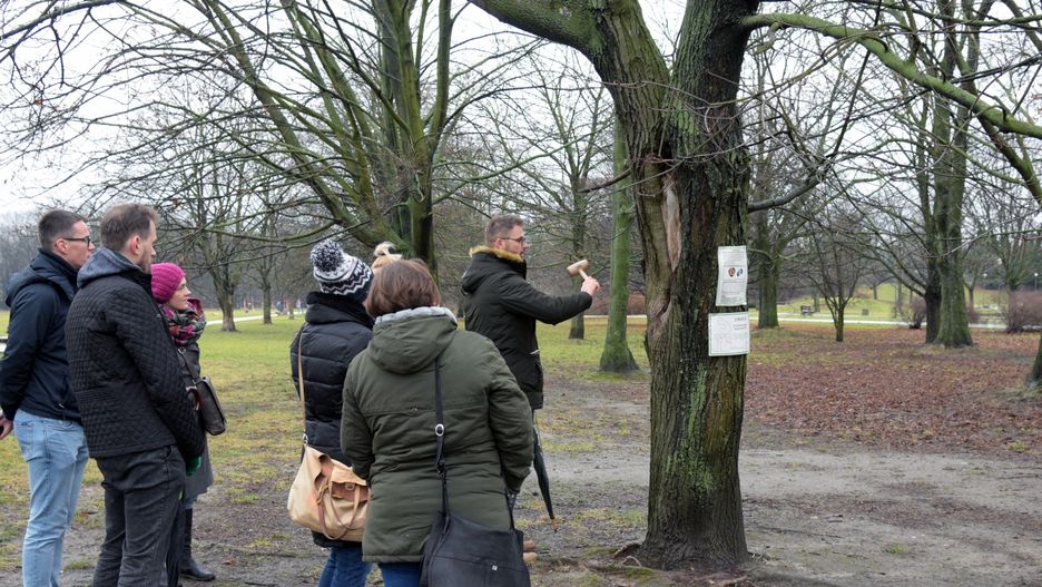 Warszawa. Wiem o wycince - spacer