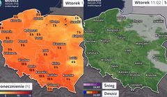 Znane profile o pogodzie zniknęły ostatecznie z sieci