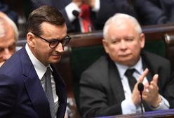 Nowy pomysł PiS. W sieci wrze