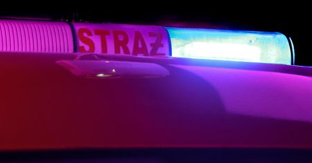 Koszmar na działkach w Gdańsku. Dwie osoby zginęły w pożarze