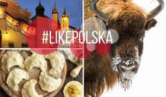 MSZ kampanią #likePolska zachęca do okazywania narodowej dumy