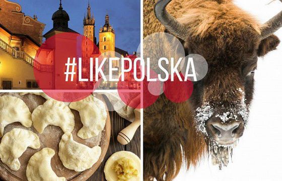 MSZ kampanią #likePolska zachęca do okazywania narodowej dumy