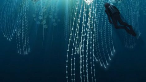 Jak mogą wyglądać australijskie miasta za 40 lat? 1