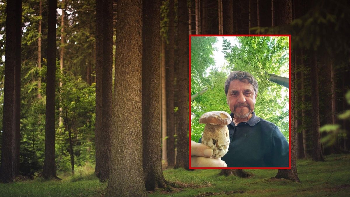 Justyn Kołek pokazał efekty grzybobrania.