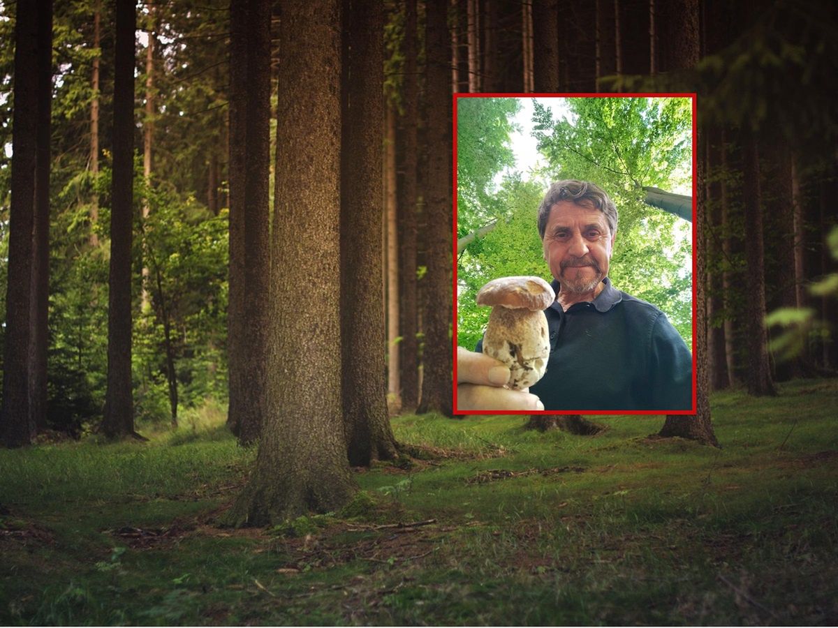 "Zaczyna się wysyp". Poszedł do lasu. Oto efekt grzybobrania