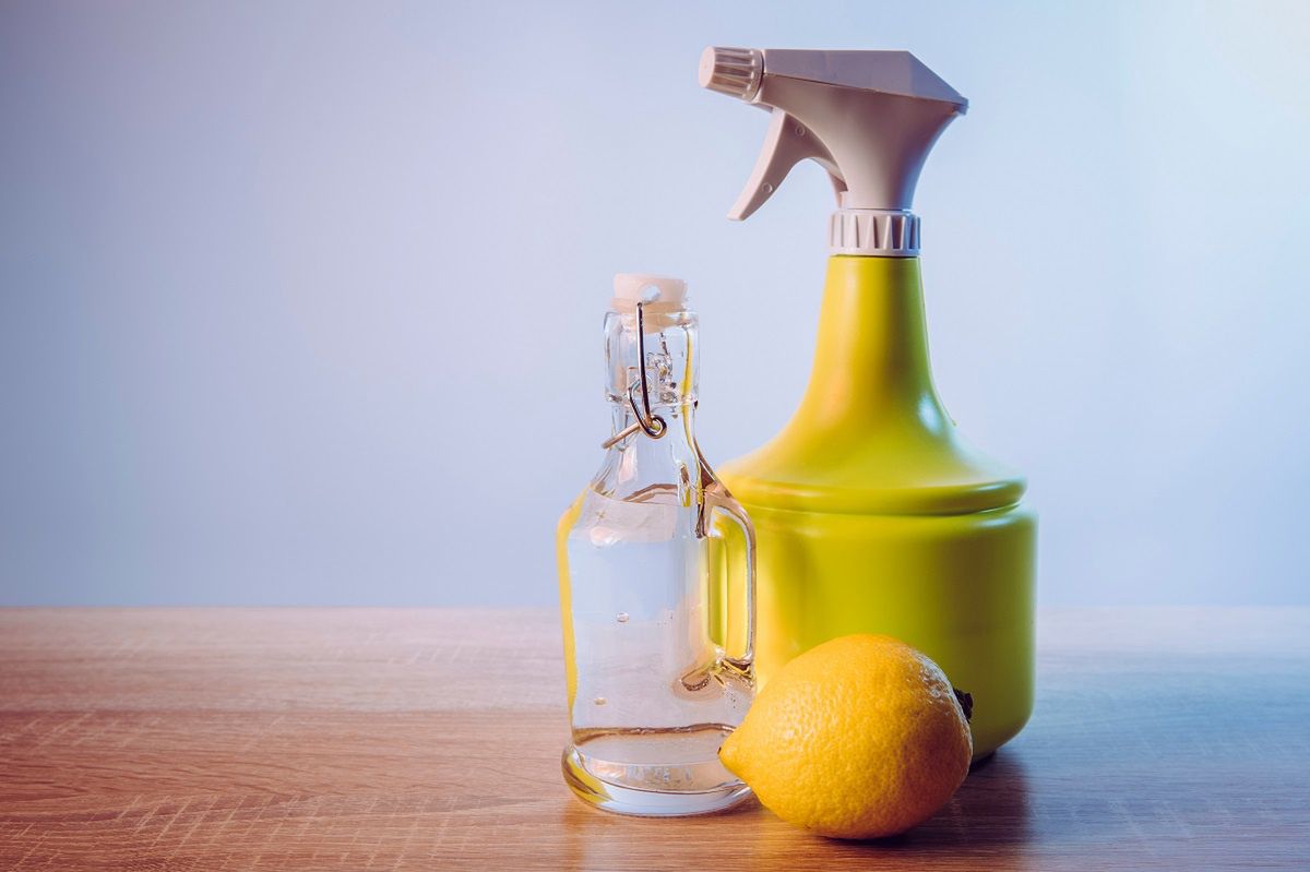 I soak the lemon remnants in vinegar. I finally stopped wasting money.