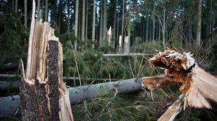 Tatry: Uwaga na silny wiatr i lód. Wystąpi zabójcze połączenie