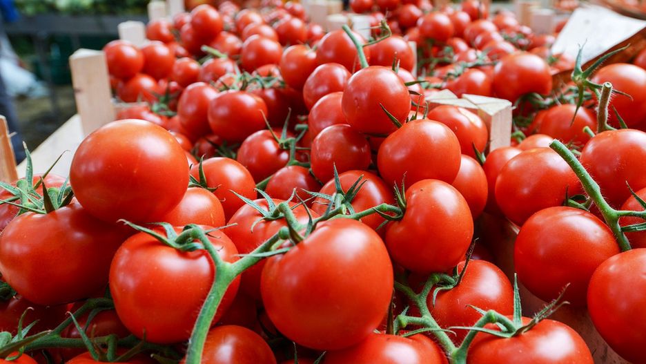 Pomidory w świetnej cenie – ten sklep bije konkurencję na głowę