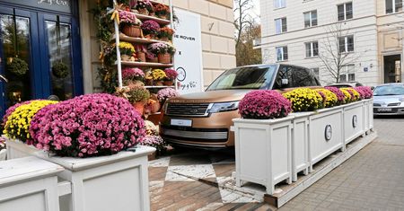 Ciemne chmury nad Flamingiem. Elitarna knajpka brała nielegalnie prąd?