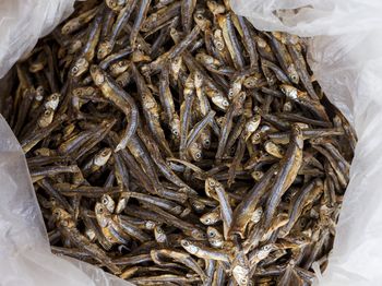 Jest zdrowa, mimo że z puszki. Najlepsza ryba dla serca