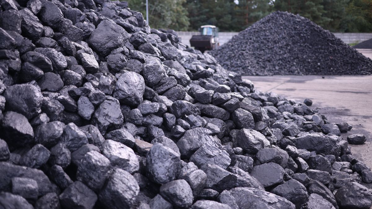 Mazowieckie, 31.08.2022. Skład węgla w jednej z podwarszawskich miejscowości, 31 bm. Trwa trudna sytuacja na rynku węgla kamiennego. (sko) PAP/Leszek Szymański