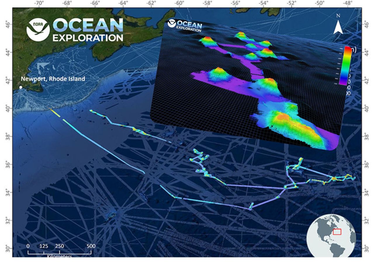 Naukowcy mapowali dno oceanu. Odkrycie "aż trudne do wyobrażenia"