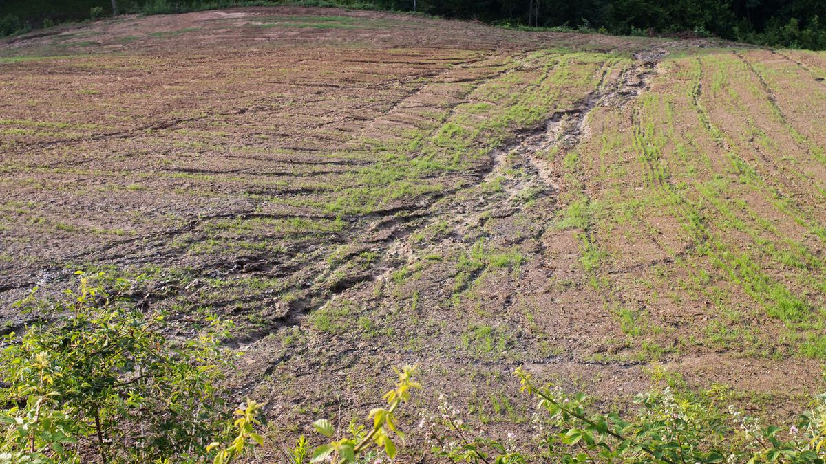 Erozja gleby. Na czym polega?