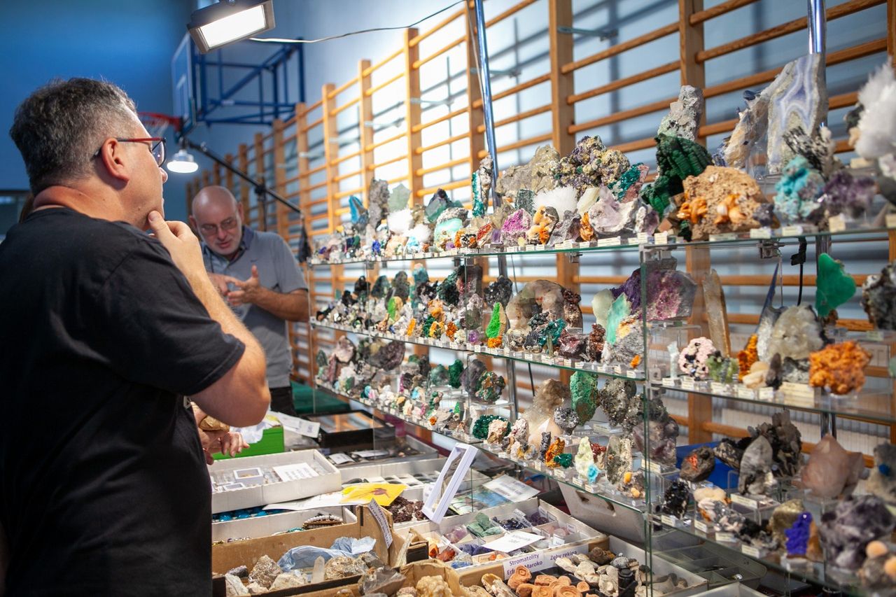 Zielona Góra: Co robić w weekend? Propozycje na trzy jesienne dni