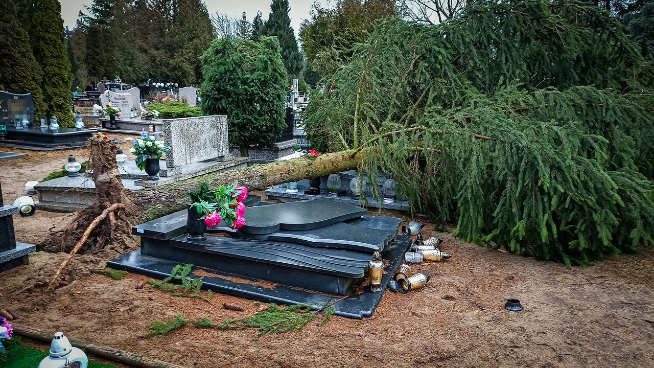 Cmentarz Komunalny w Pile po wichurze – FOTO