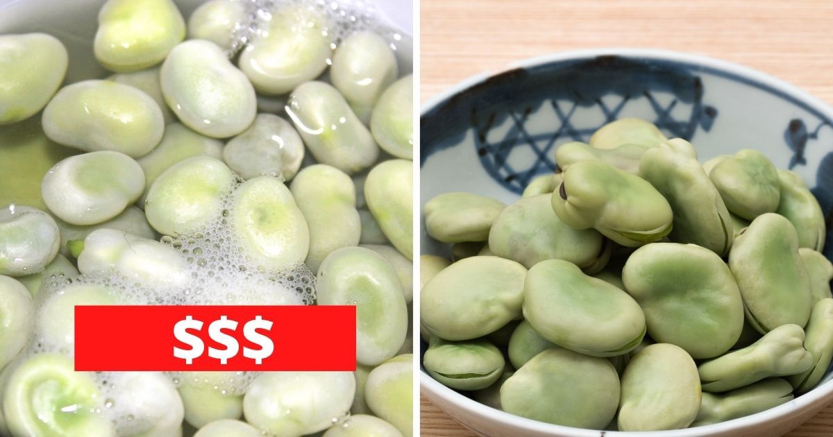 Znamy pierwsze ceny bobu. Kwota przyprawia o zawrót głowy